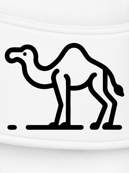 Camel