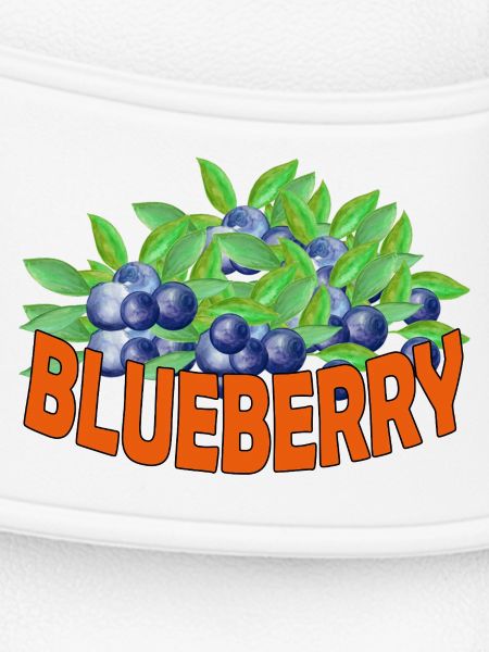 BLUEBERRY