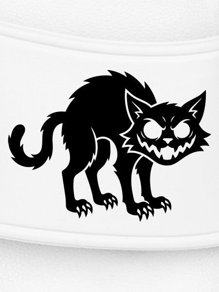 Angry black cat