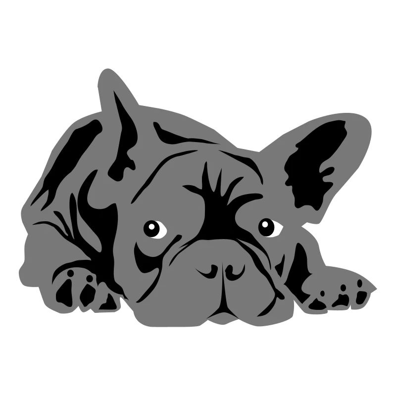 bouledogue français 2 couleurs
