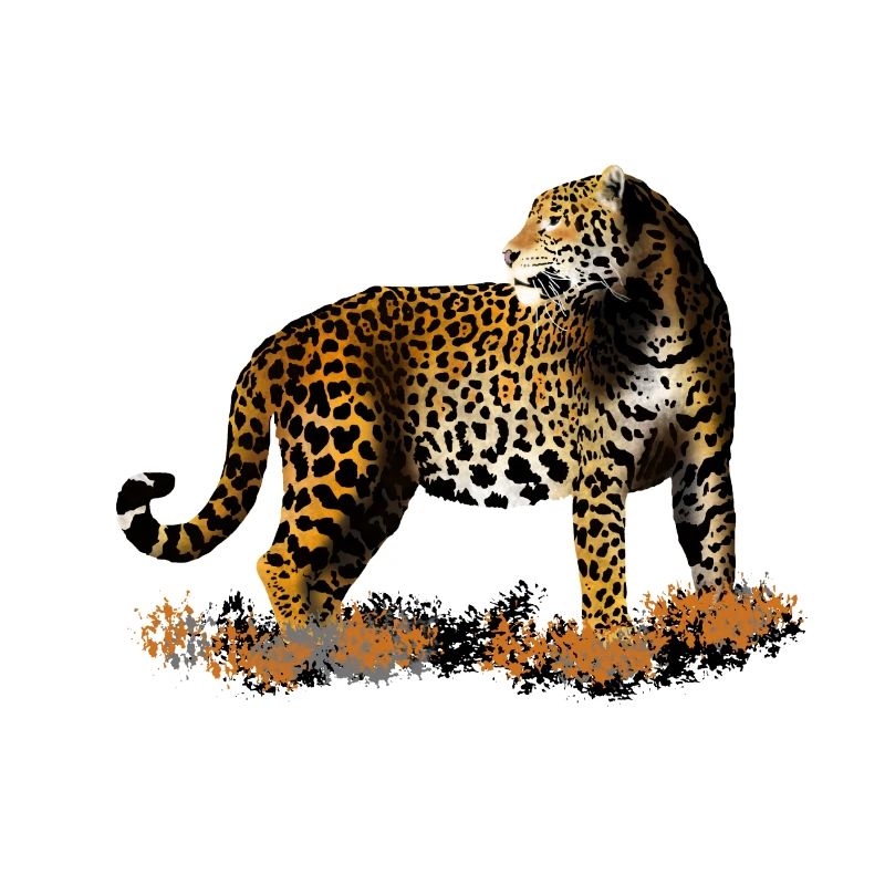 leopard