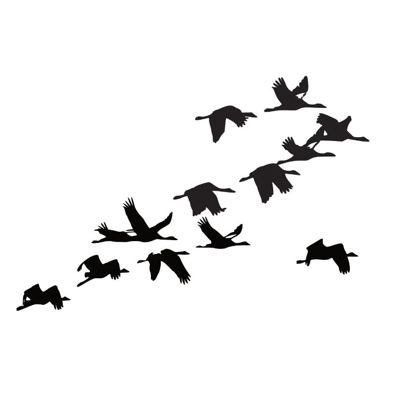 cranes