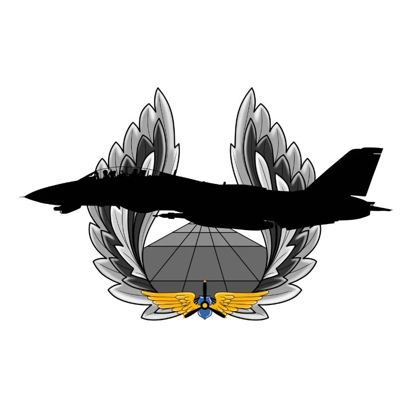 F-14 Tomcat
