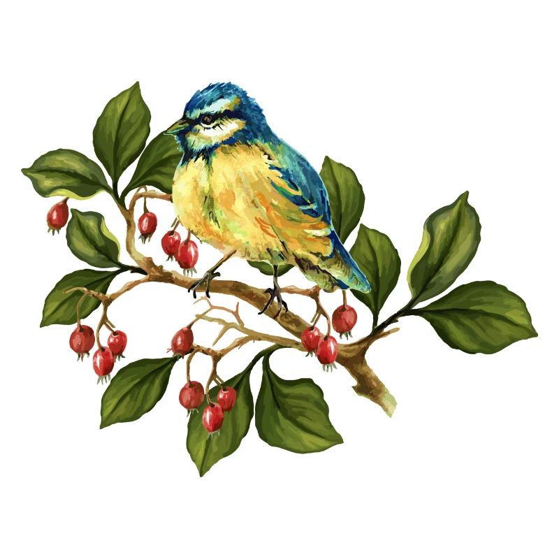 Bunter Vogel