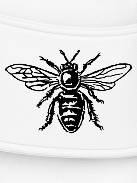 Honey Bee