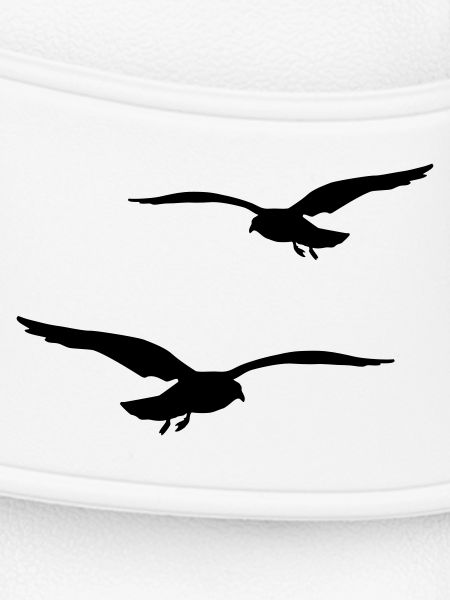 mouette