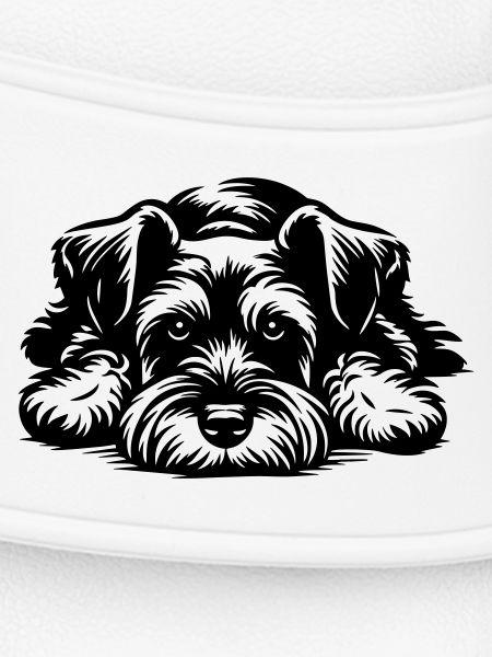 Zwergschnauzer