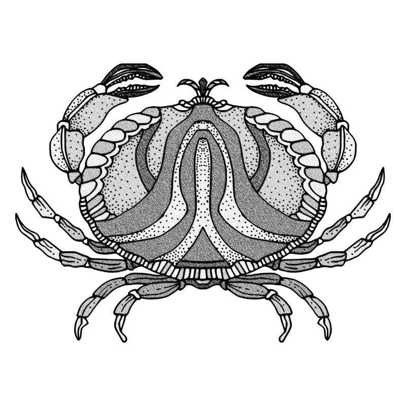 Crab