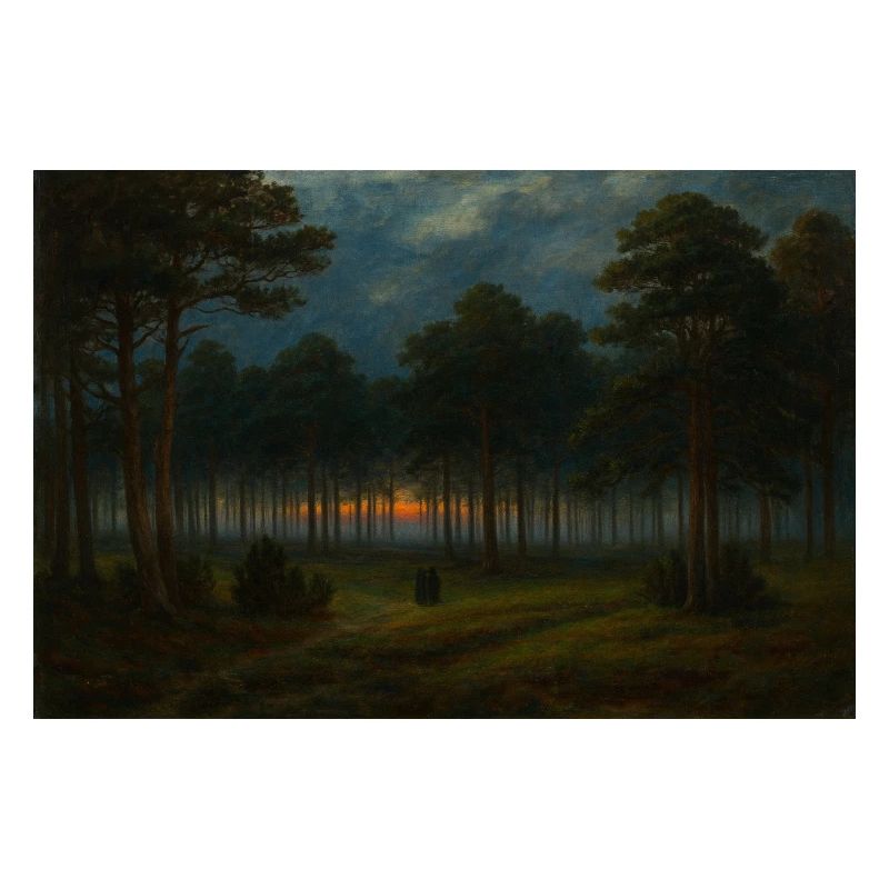 Abenddämmerung im dunklen Wald