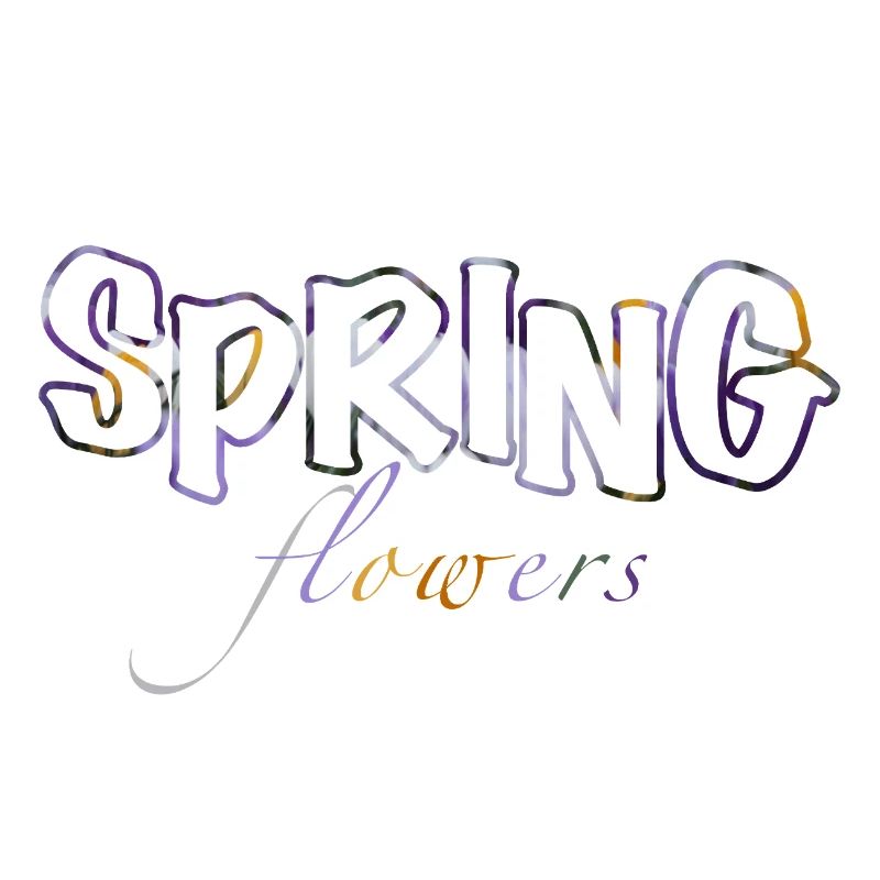 Couleurs des crocus des fleurs de printemps