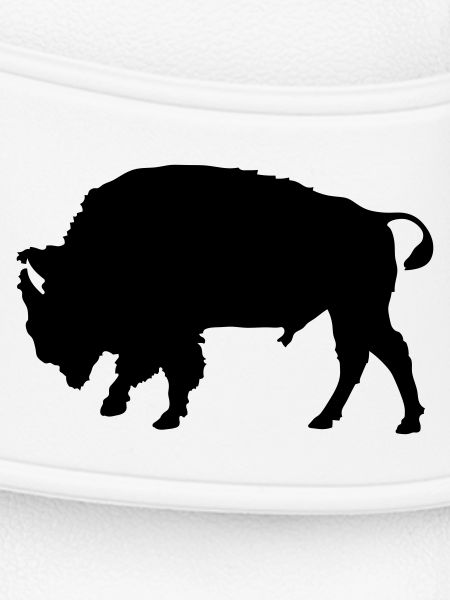 bison