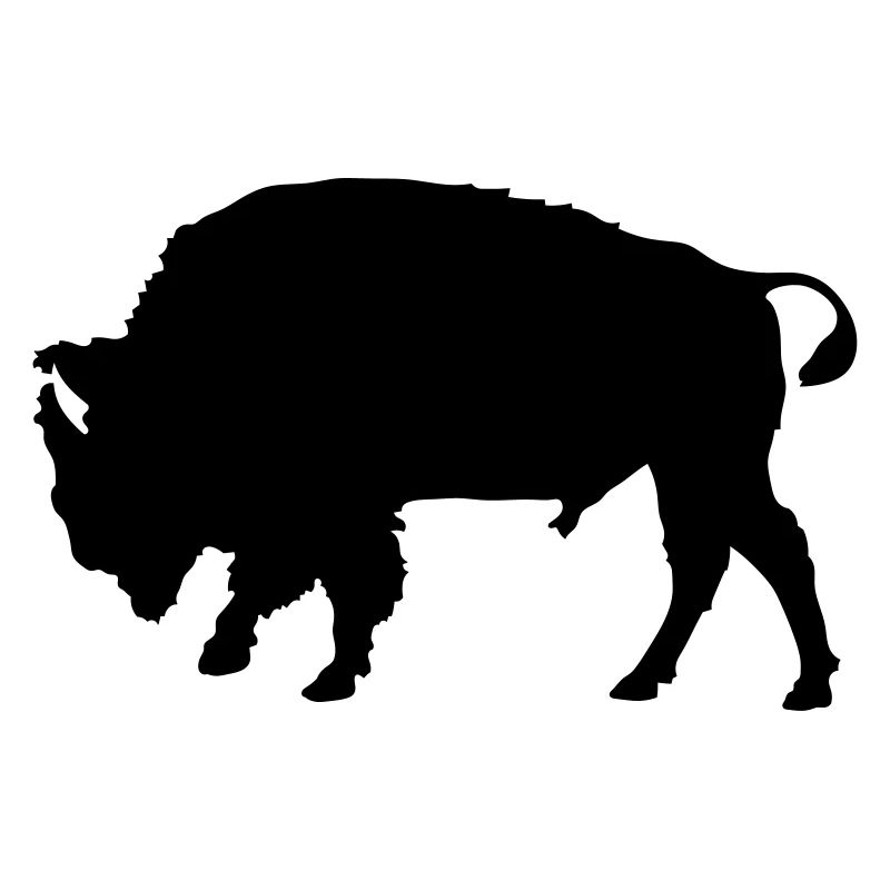 Bison