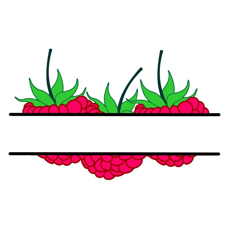 Raspberry banner red raspberry