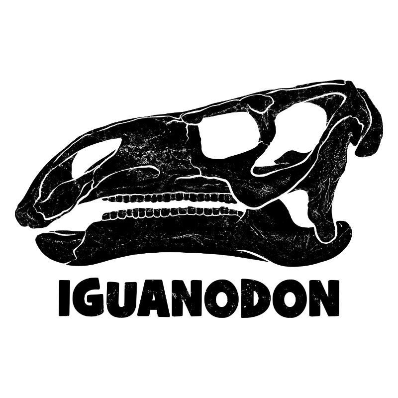 Fossile de crâne d’iguanodon