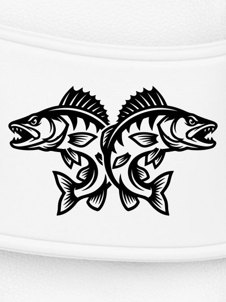 Pike Fish