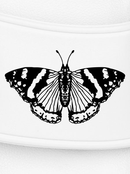 Papillon papillon