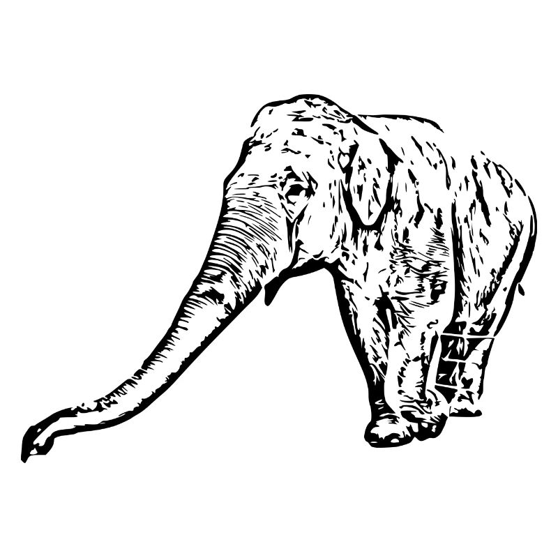 Elefant sort