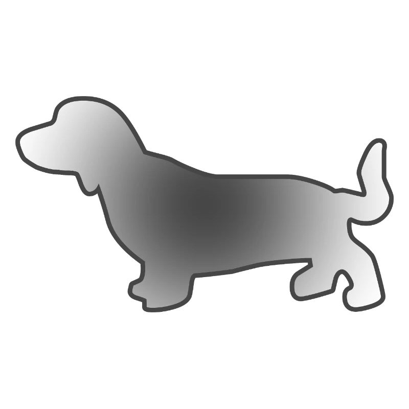 Dachshund