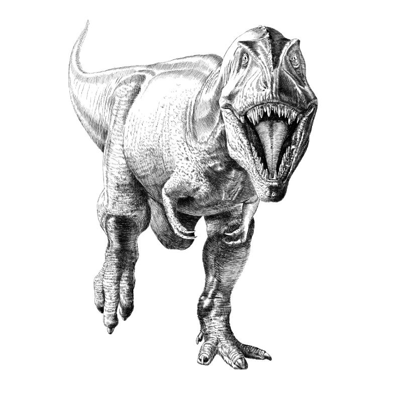 Dinosaur