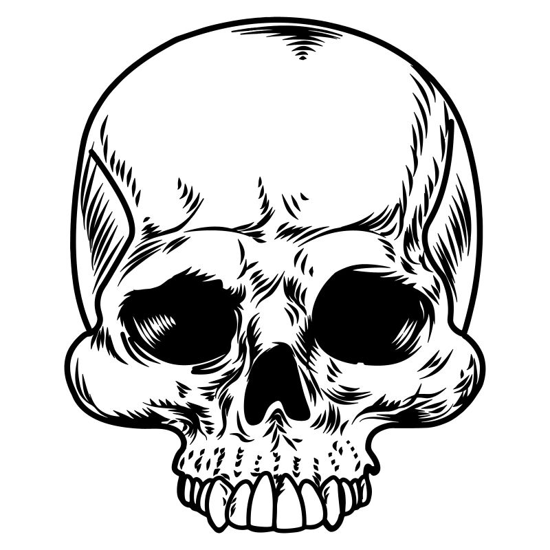 Schädel transparent