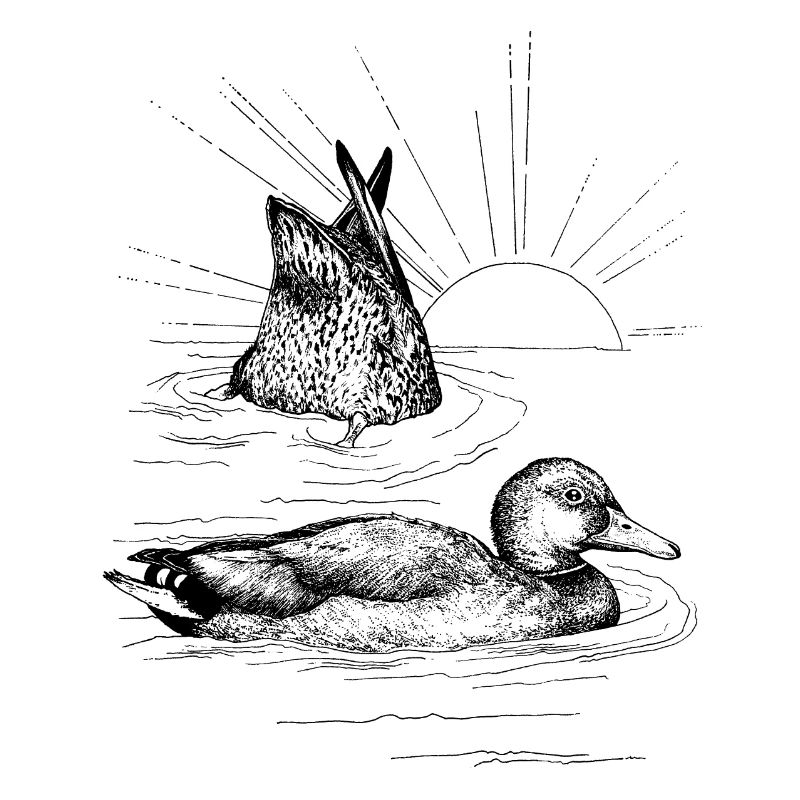 LES MALLARDS