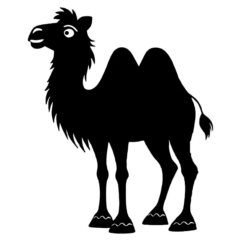 Shadow camel