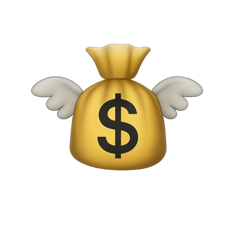 Geld fliege