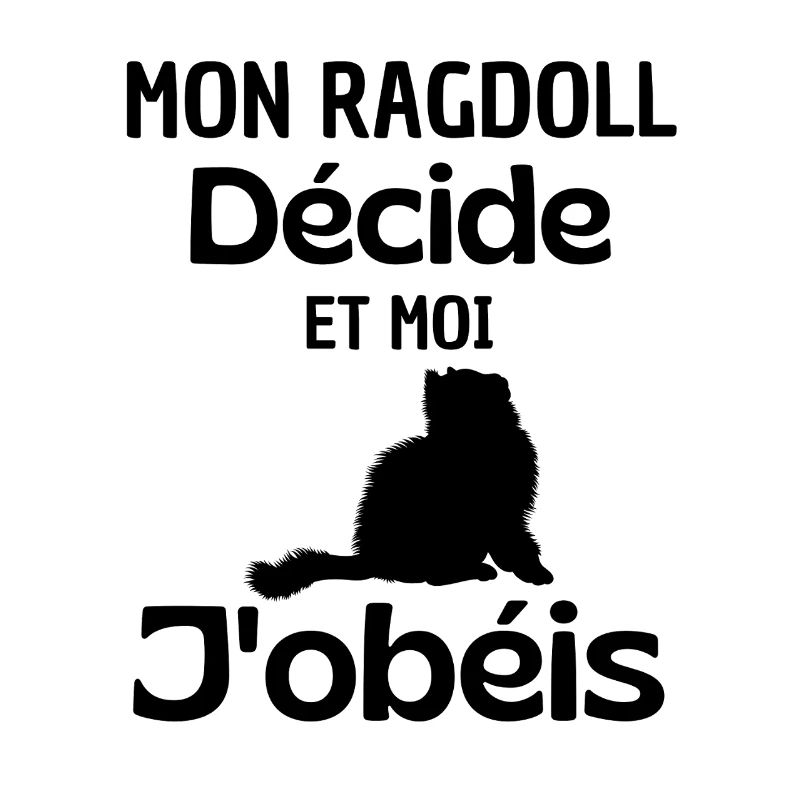 Chat mignon Ragdoll 
