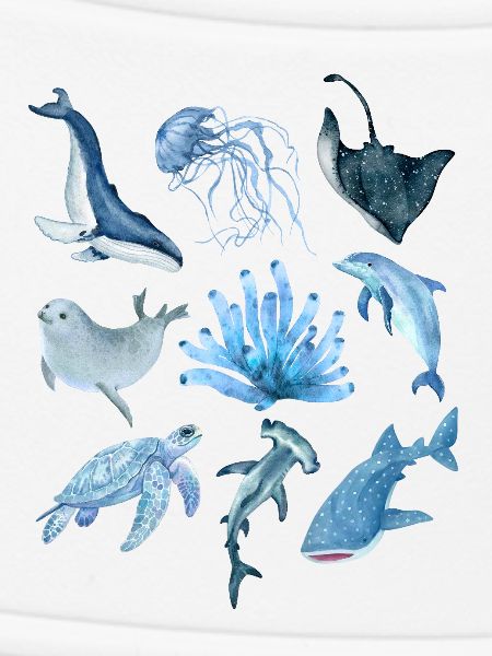ocean animals