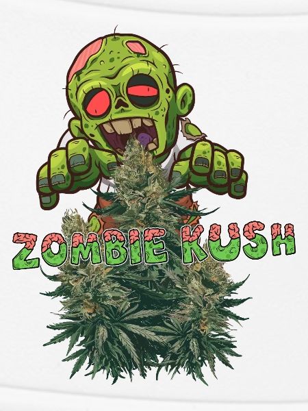 Zombie Kush