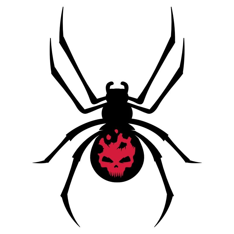 A black spider with red skull