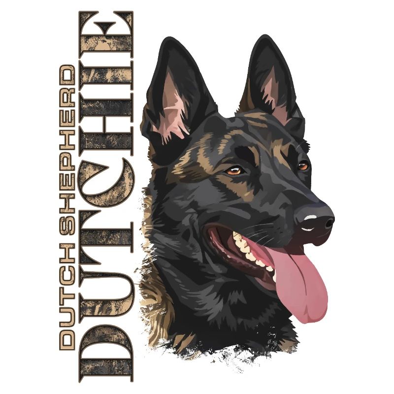 Dutchie - Holländischer Schäferhund