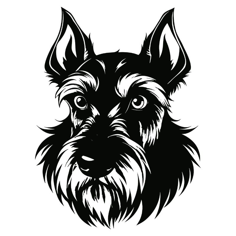 Schnauzer géant
