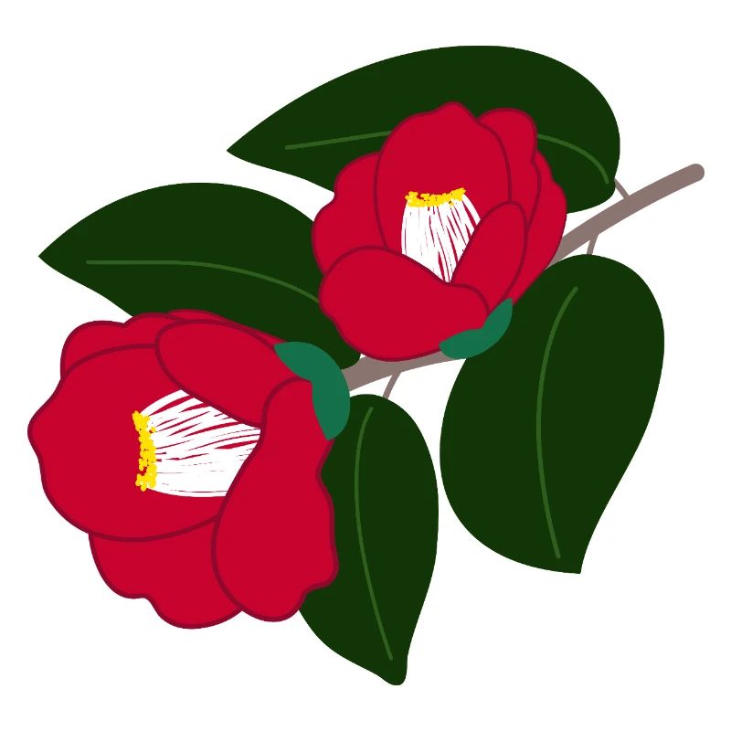 zwei rote Kamelienblüten