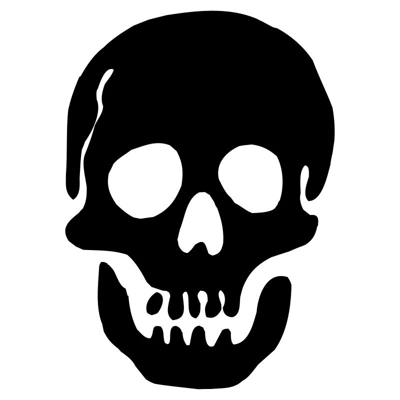 Pirate Skull Shadow Image Nice pour un