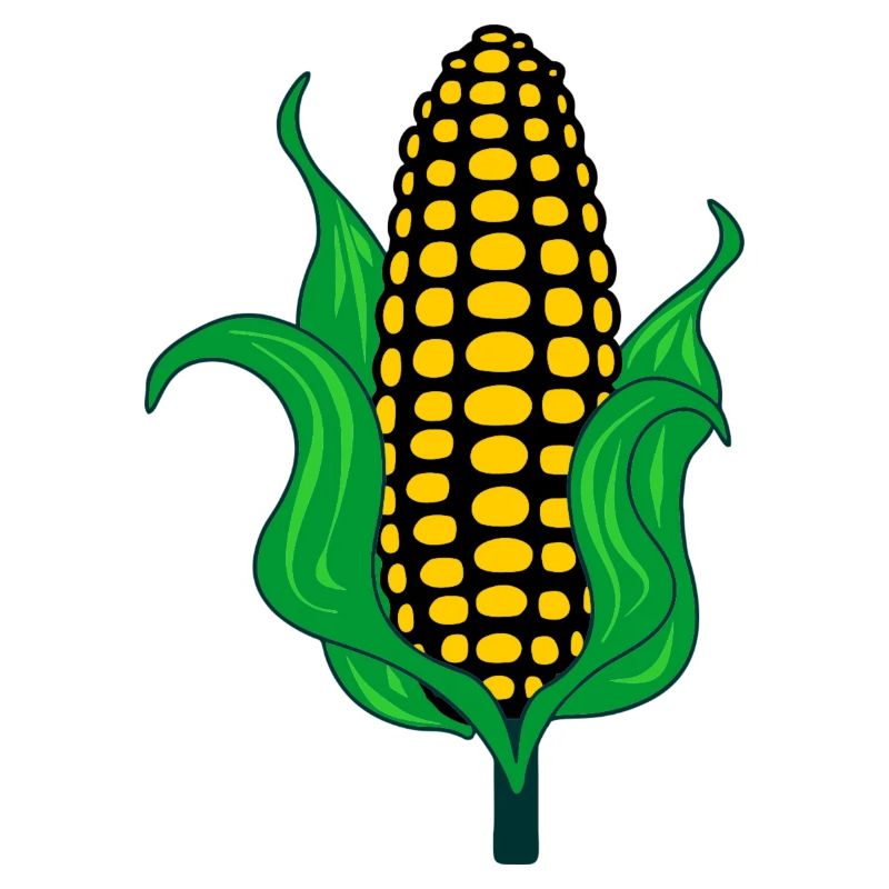 Corn cob