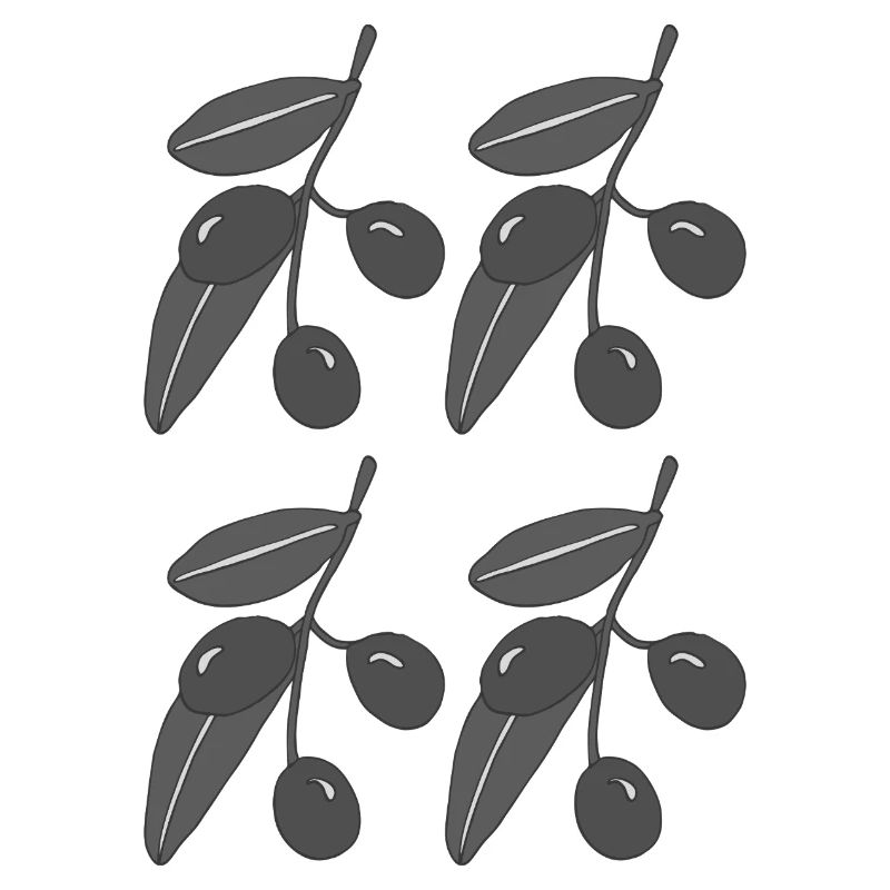 Olive branches black white