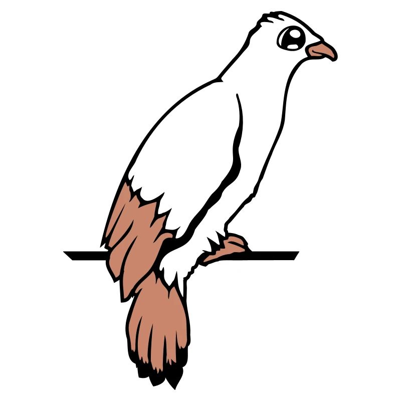 Bird Raven Dove Sitting Cable Hawk Eagle Birdie