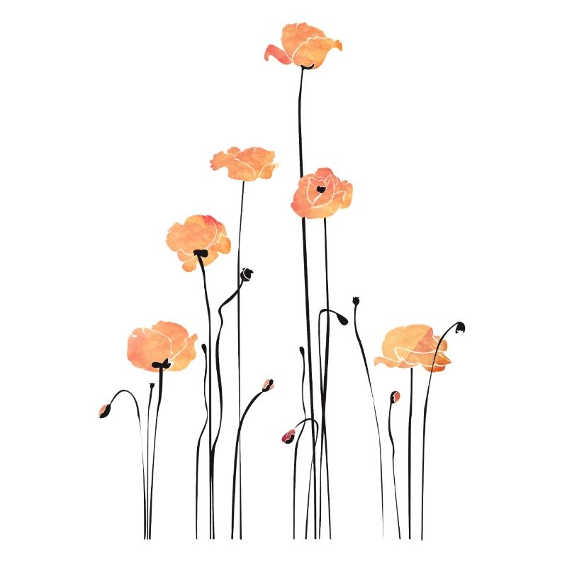 Illustration de coquelicots à l’aquarelle
