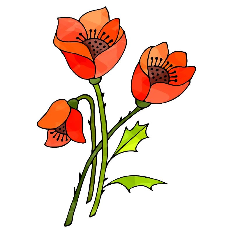 Flowers