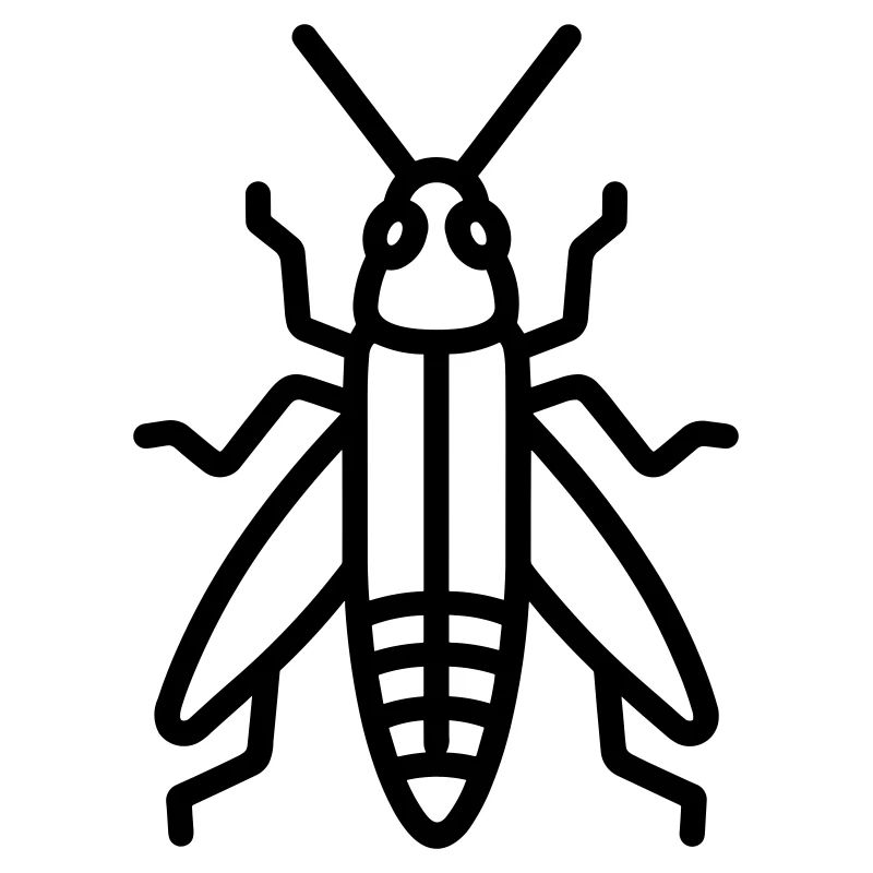 grasshopper