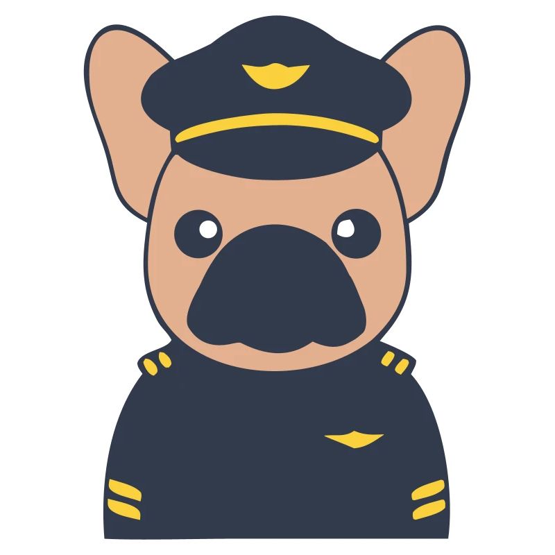 Uniforme de commandant pilote français