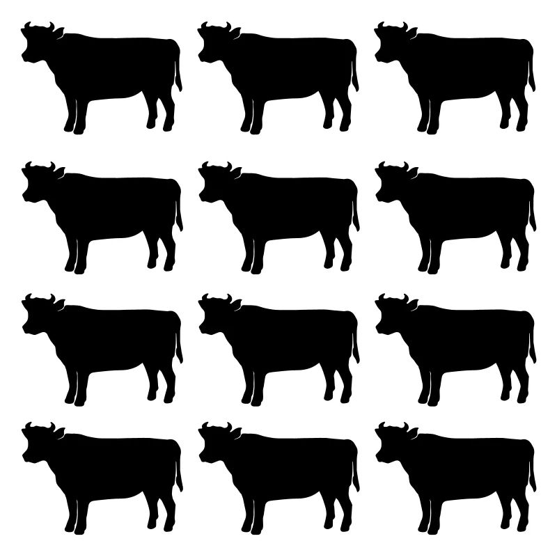 Vache
