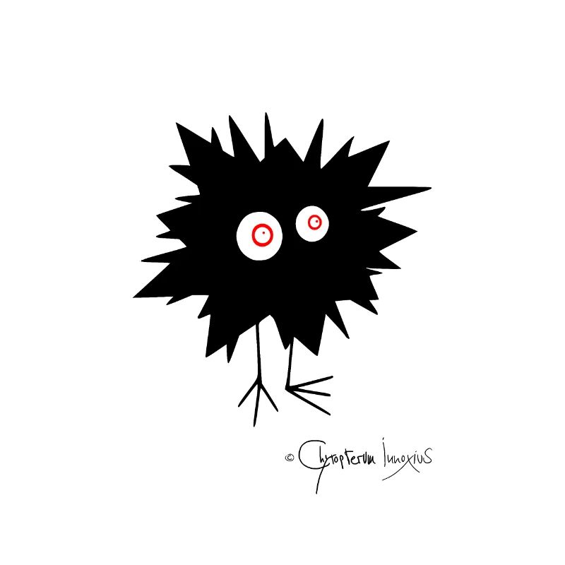Woolly Beastie flashed © Chyropterum Innoxius