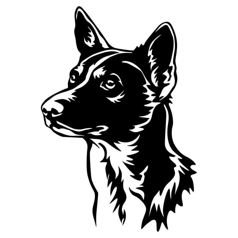 Tête de Basenji