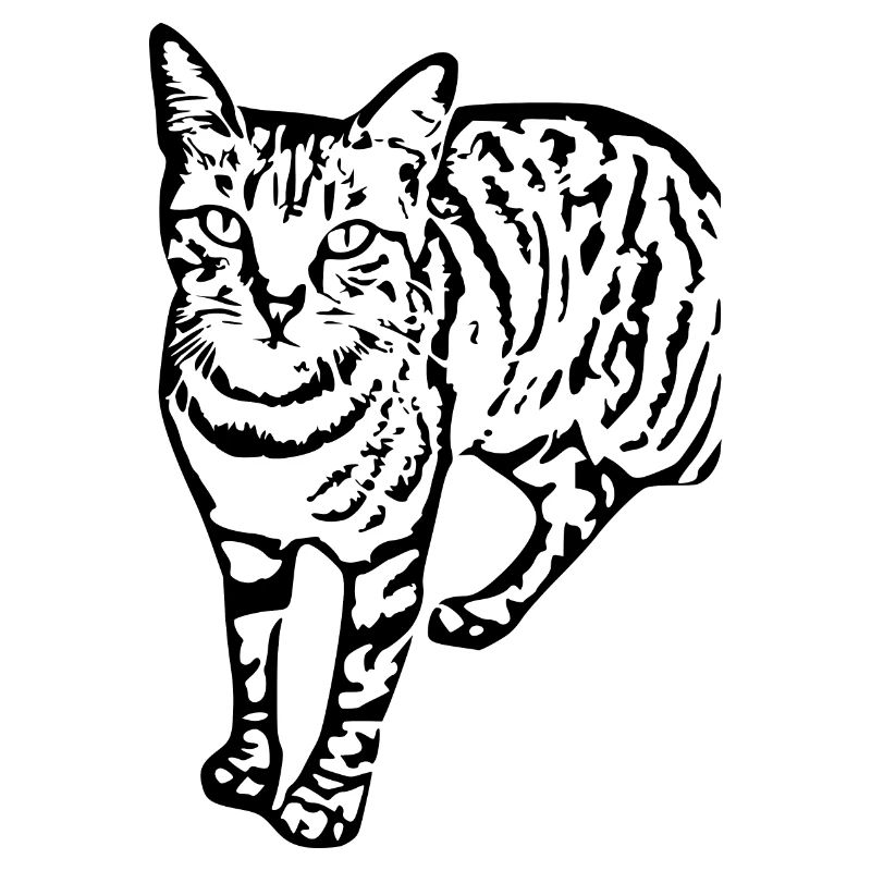 Schwarze Katze Katze Süßes Kätzchen Weihnachtsgeschenk