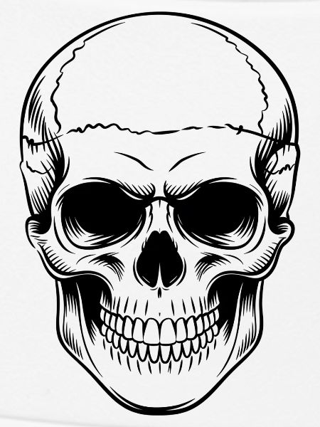 Skull