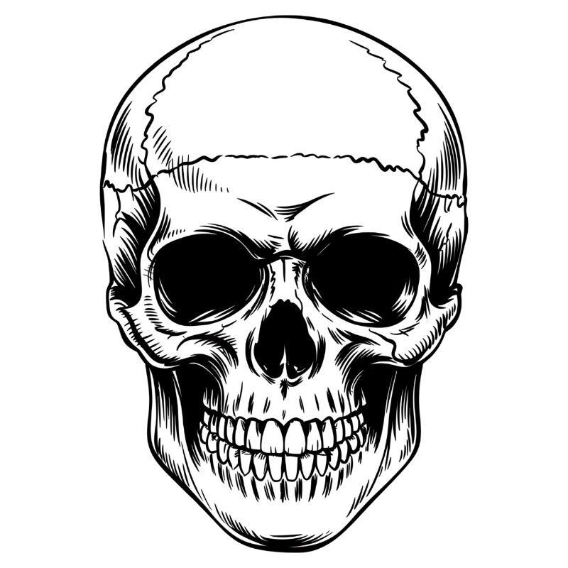 Skull