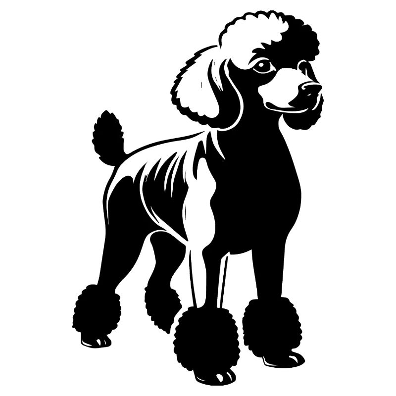 Caniche - Conception de chien de compagnie