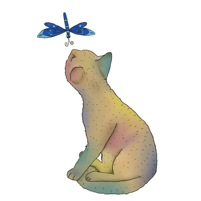 Katze mit blauer Libelle